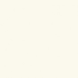 FOND PAPIER BD WHITE