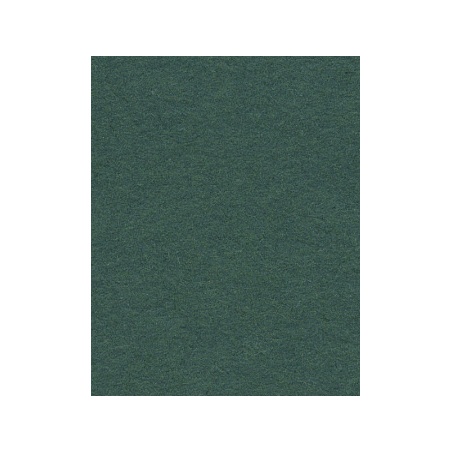 FOND PAPIER SPRUCE GREEN