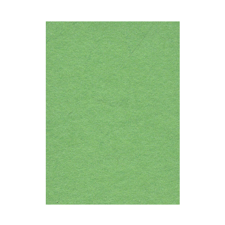 FOND PAPIER SUMMER GREEN