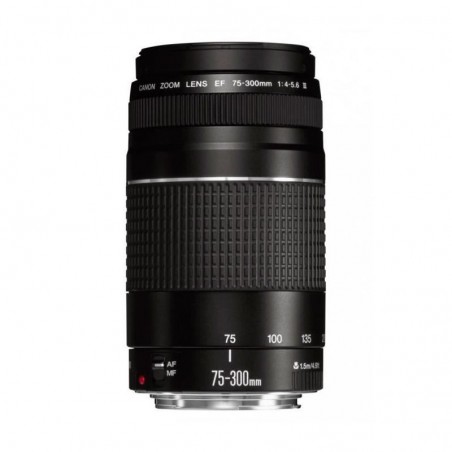 Objectif Canon EF 75-300mm f/4-5.6 III