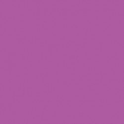 FOND PAPIER BD BOYSENBERRY