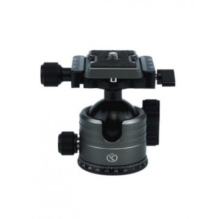 YC ONION MR 36 ROTULE TETE ORIENTALE